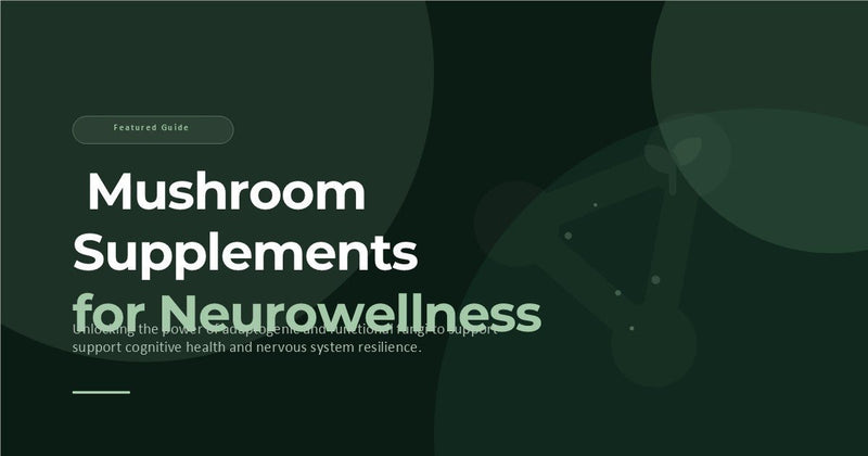 Mushroom Supplements Neurowellness - Astral & Root