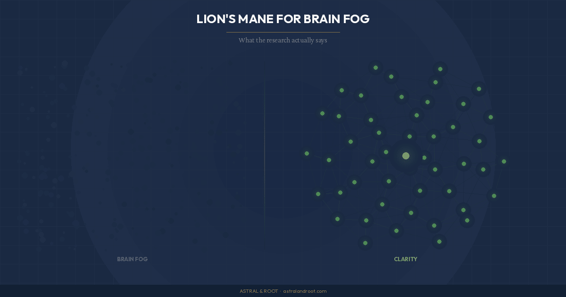 Lion's Mane for Brain Fog: What the Research Actually Says - Astral & Root