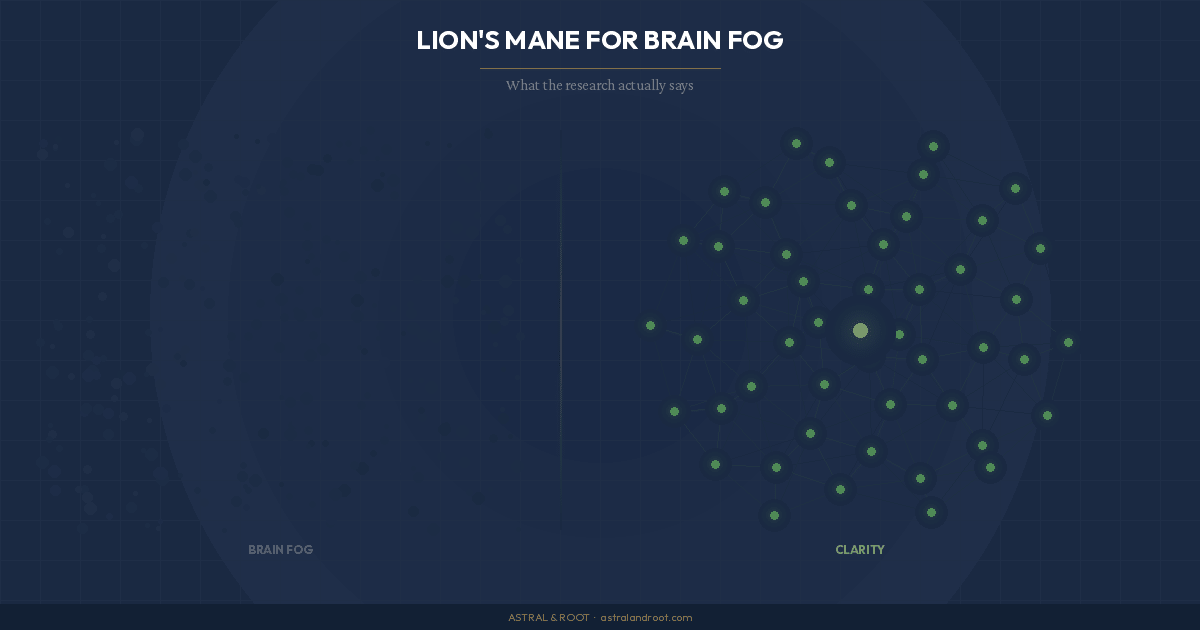 Lion's Mane for Brain Fog: What the Research Actually Says - Astral & Root
