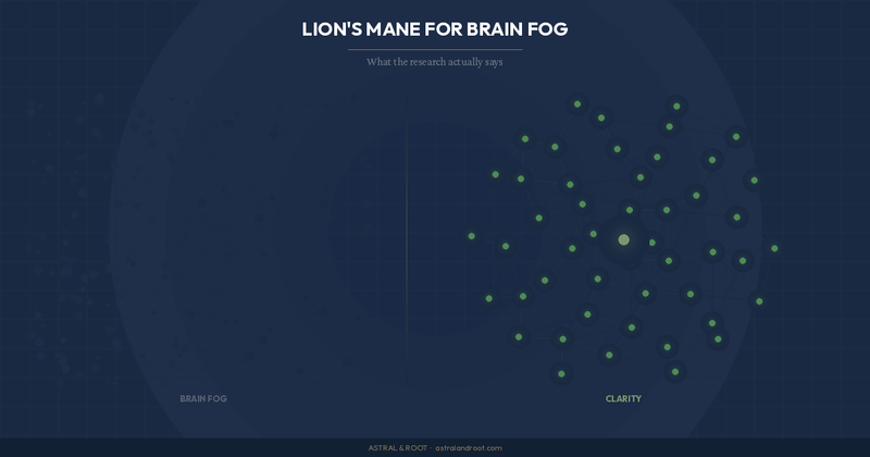 Lion's Mane for Brain Fog: What the Research Actually Says - Astral & Root