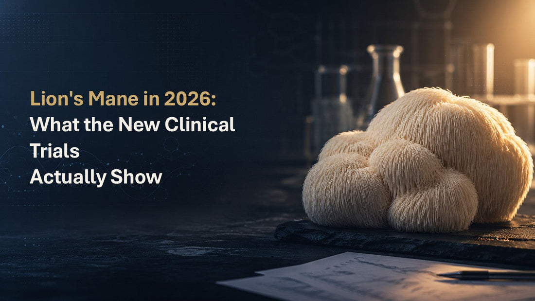 Lion's Mane in 2026: What the New Clinical Trials Actually Show