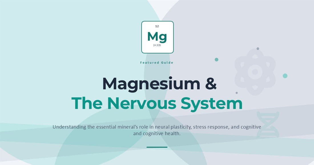 Magnesium and The Nervous System - Astral & Root