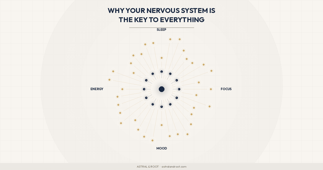 Why Your Nervous System Is the Key to Everything - Astral & Root