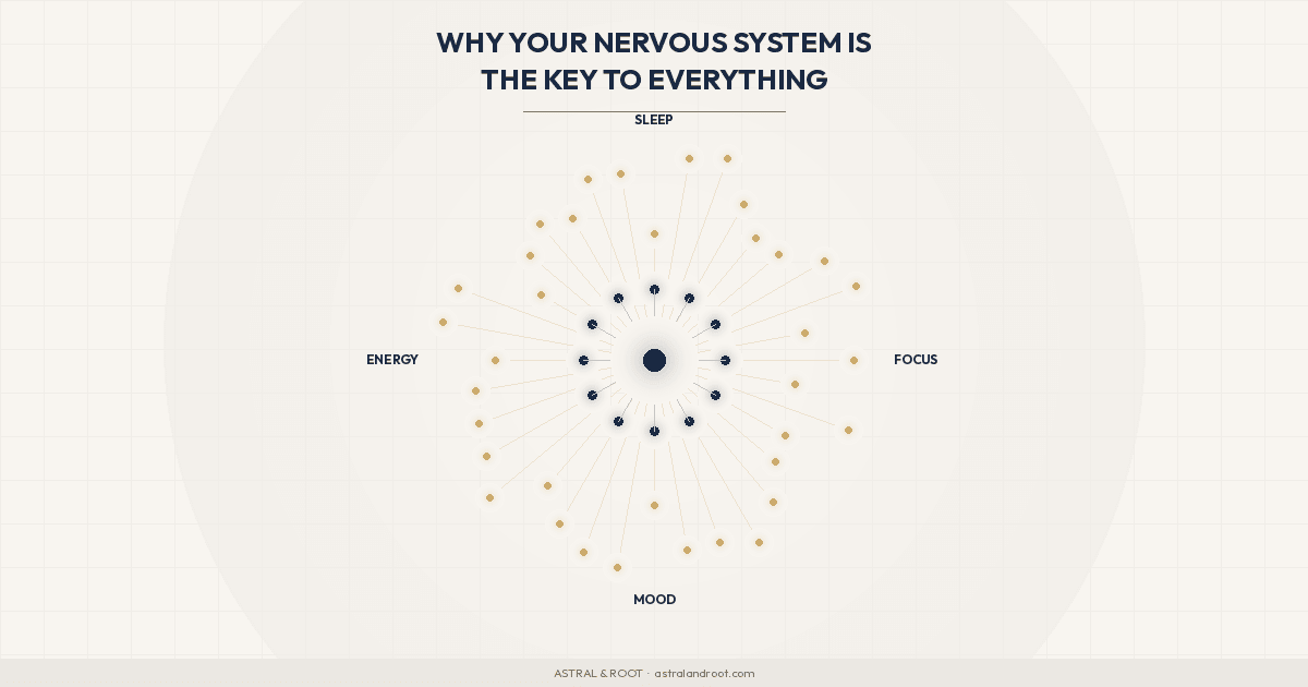 Why Your Nervous System Is the Key to Everything - Astral & Root