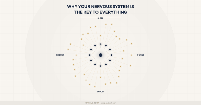 Why Your Nervous System Is the Key to Everything - Astral & Root